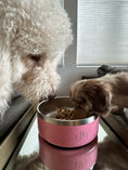 Load image into Gallery viewer, DH "YETI STYLE" Doodle Head Food/Water Bowl - Premium Stainless Steel Pet Bowl
