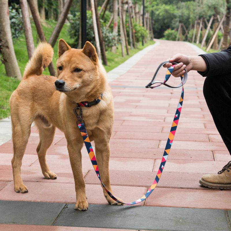 Pet Supplies, Doodle Dog Leash, Dog Leash, Small Dog Leash, Medium Dog Leash, Large Dog Leash, 150cm Dog Leash, Premium Dog Leash, Puppy Leash, Durable Dog Leash, Comfortable Dog Leash, Stylish Dog Leash, Pet Leash, High-Quality Dog Leash, Dog Walking Supplies