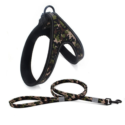 Colorful Dog Leash, Dog Walking Rope, Small Dog Leash, Medium Dog Leash, Large Dog Leash, Explosion-Proof Dog Chain, Dog Leash, Pet Leash, Dog Walking Gear, Durable Dog Leash, Stylish Dog Leash, Dog Leash for All Sizes, High-Quality Dog Leash, Pet Walking Rope, Secure Dog Leash, Strong Dog Leash, Comfortable Dog Leash, Adjustable Dog Leash, Dog Safety Leash,