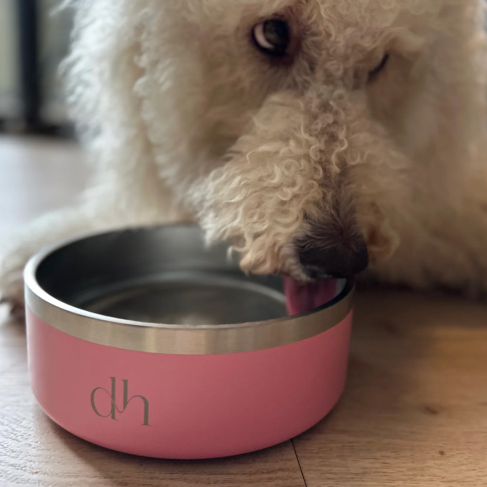 Best dog bowls for goldendoodles hotsell