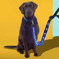 Load image into Gallery viewer, gifts for doodle lovers, golden doodle baby stuff, stuff for goldendoodles, Goldendoodle, Goldendoodle gifts, Goldendoodle toys, Goldendoodle Light Up Flashing LED Leash, Goldendoodle Flashing LED Leash, Goldendoodle LED Leash, Goldendoodle Leash, Goldendoodle Dog Light Up LED Leash, Goldendoodle Dog LED Leash, Goldendoodle Dog Leash, Goldendoodle Dog Belt, Goldendoodle dad Dog Belt, Goldendoodle mom, Golden head, Golden doodle, Golden doodle Dog, Gifts for golden doodle, Golden Doodle Necessities,
