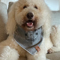 Load image into Gallery viewer, gifts for doodle lovers, golden doodle baby stuff, stuff for goldendoodles, Goldendoodle, Goldendoodle gifts, Goldendoodle toys, Goldendoodle Linen Cotton Doodle Heads Luxury Bandana, Goldendoodle Linen Cotton Doodle Heads Bandana, Goldendoodle Cotton Doodle Heads Luxury Bandana, Goldendoodle Linen Cotton Luxury Bandana, Goldendoodle Dog Cotton Bandana, Goldendoodle Luxury Bandana, Goldendoodle Bandana, Goldendoodle Dog Cotton Luxury Bandana

