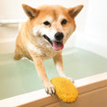 Load image into Gallery viewer, Fried Shrimp Tempura Dog Toy, Squeaky Dog Toy, Cute Stuffed Dog Toy, Dog Chew Toy, Pet Chew Toy, Best Pet Supplies, Dog Toy for Small Breeds, Dog Toy for Medium Breeds, Dog Toy for Large Breeds, Durable Dog Toy, Dog Entertainment, Interactive Dog Toy, Pet Playtime, Dog Toy with Sound, Chew Toy for Dogs, Pet Fun Toy, Engaging Dog Toy, Dog Play Toy, Soft Dog Toy, Plush Dog Toy, Dog Toy for Chewing, High-Quality Dog Toy, Pet Products, Dog Toy Collection, Pet Toy Set
