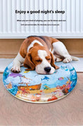 Load image into Gallery viewer, Summer Cooling Pet Water Bed, Pet Cooling Cushion, Ice Pad for Pets, Dog Sleeping Mat, Cat Sleeping Mat, Pet Water Bed, Cooling Mat for Dogs, Cooling Mat for Cats, Pet Kennel Cooling Mat, Cold Pet Bed, Cool Pet Cushion, Puppy Cooling Mat, Pet Sleeping Mat, Summer Pet Products, Cooling Pad for Pets, Dog Ice Pad, Cat Ice Pad, Pet Cool Bed, Dog Cooling Mat, Cat Cooling Mat
