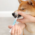 Load image into Gallery viewer, Pet Teeth Repairing Kit For Dog Cat Teeth Cleaning Pen Kit
