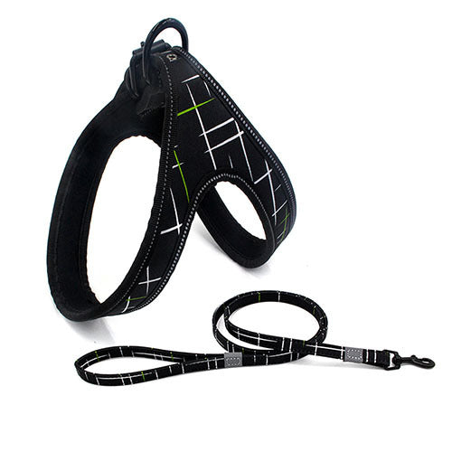 Colorful Dog Leash, Dog Walking Rope, Small Dog Leash, Medium Dog Leash, Large Dog Leash, Explosion-Proof Dog Chain, Dog Leash, Pet Leash, Dog Walking Gear, Durable Dog Leash, Stylish Dog Leash, Dog Leash for All Sizes, High-Quality Dog Leash, Pet Walking Rope, Secure Dog Leash, Strong Dog Leash, Comfortable Dog Leash, Adjustable Dog Leash, Dog Safety Leash,