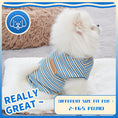 Load image into Gallery viewer, Cooling Vest for Dogs, Designer Dog Clothes, Chihuahua Dog Clothes, Small Dog Clothes, Summer Pet Items, Dog Pet Shirt, Dog Fashion Outfit, Dog Cooling Vest, Pet Cooling Clothes, Small Dog Fashion, Dog Summer Clothes, Designer Pet Clothes, Stylish Dog Vest, Dog Cooling Solutions, Pet Summer Gear, Dog Apparel, Small Dog Vest, Dog Cooling Shirt, Pet Fashion, Dog Summer Vest, Dog Comfort Clothes, Small Dog Apparel, Dog Cooling Outfit, Pet Cooling Vest
