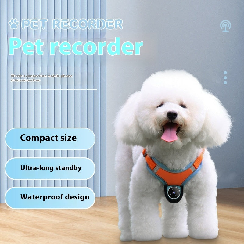 Pets Recorder, Motion Recording Camera, Dogs and Cats Camera, Pet Viewing Angle Camera, Pet Monitoring, Pet Products, Small Pets Camera, Medium Pets Camera, Large Pets Camera, Pet Surveillance, Pet Security Camera, Pet Activity Monitor, Dog Camera, Cat Camera, Pet Motion Detector