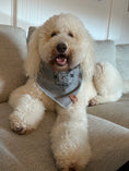 Load image into Gallery viewer, Linen Cotton Doodle Heads Luxury Bandana

