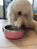 Load image into Gallery viewer, DH "YETI STYLE" Doodle Head Food/Water Bowl-Stainless Steel
