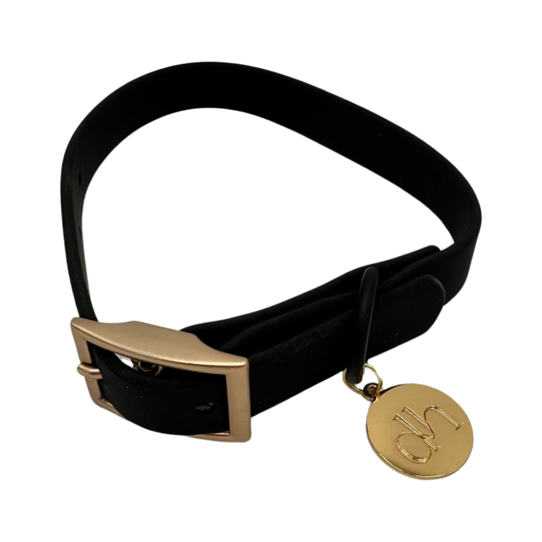 dh Designer PVC Collar & Leash Sets - Stylish Pet Accessories