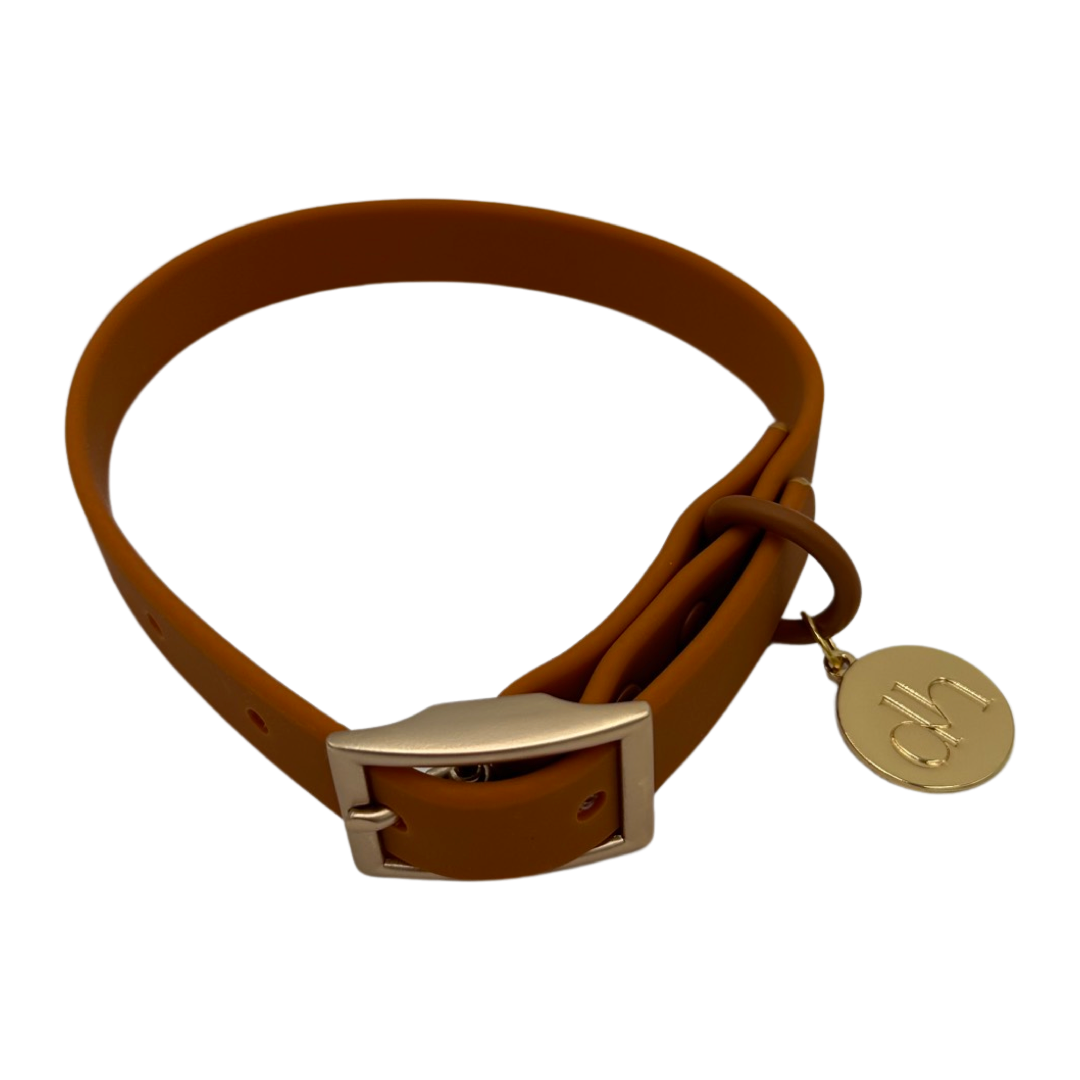 dh Designer PVC Collar & Leash Sets - Stylish Pet Accessories