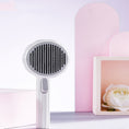 Load image into Gallery viewer, Pet Dog Brush, Cat Brush, Hand-Held Pet Brush, Steel Wire Pet Brush, Self-Cleaning Pet Comb, Hair Removal Pet Brush, Pet Grooming Supplies, Hot Selling Pet Brush, Dog Grooming Brush, Cat Grooming Brush, Pet Hair Removal Tool, Pet Grooming Comb, Pet Care Brush, Dog Hair Comb
