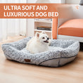 Load image into Gallery viewer, Swirl Rose Velvet Dog Beds, Removable Cushion Dog Beds, Calming Dog Beds, Dog Sofa Beds, Anti-Anxiety Dog Beds, Machine Washable Dog Beds, Cat Beds, Velvet Pet Beds, Small Dog Beds, Medium Dog Beds, Dog Comfort Beds, Pet Sofa Beds, Luxury Dog Beds, Pet Calming Products, Durable Dog Beds, Soft Dog Beds, Comfortable Dog Beds, Pet Relaxation Beds, Plush Dog Beds, Cozy Dog Beds, Dog Rest Beds, Easy-Clean Dog Beds, Pet Furniture, Dog Sleep Solutions
