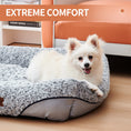 Load image into Gallery viewer, Swirl Rose Velvet Dog Beds, Removable Cushion Dog Beds, Calming Dog Beds, Dog Sofa Beds, Anti-Anxiety Dog Beds, Machine Washable Dog Beds, Cat Beds, Velvet Pet Beds, Small Dog Beds, Medium Dog Beds, Dog Comfort Beds, Pet Sofa Beds, Luxury Dog Beds, Pet Calming Products, Durable Dog Beds, Soft Dog Beds, Comfortable Dog Beds, Pet Relaxation Beds, Plush Dog Beds, Cozy Dog Beds, Dog Rest Beds, Easy-Clean Dog Beds, Pet Furniture, Dog Sleep Solutions
