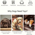 Load image into Gallery viewer, Squeaky Dog Toys Pack, Puppy Toys, Soft Dog Toys, Durable Dog Toys, Stuffed Animal Dog Toys, Plush Dog Chew Toys, Dog Toys with Squeakers, Dog Teeth Cleaning Toys, Small Dog Toys, Medium Dog Toys, Cute Dog Toys, Dog Chew Toys, Pet Toys, Puppy Chew Toys, Dog Toy Pack, Squeaky Chew Toys, Pet Chewing Toys, Dog Entertainment, Interactive Dog Toys, Dog Play Toys
