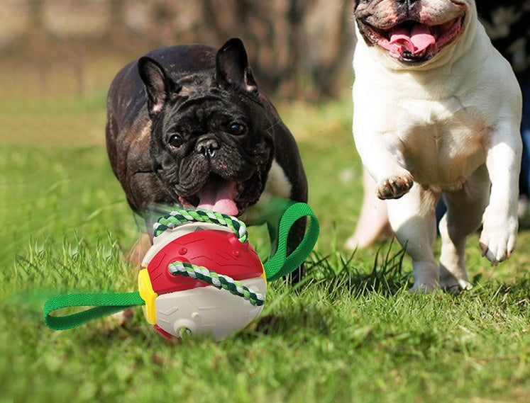 Interactive Dog Football Soccer Ball With Tabs Inflated Training Toy Outdoor Border Collie Balls Pet Products