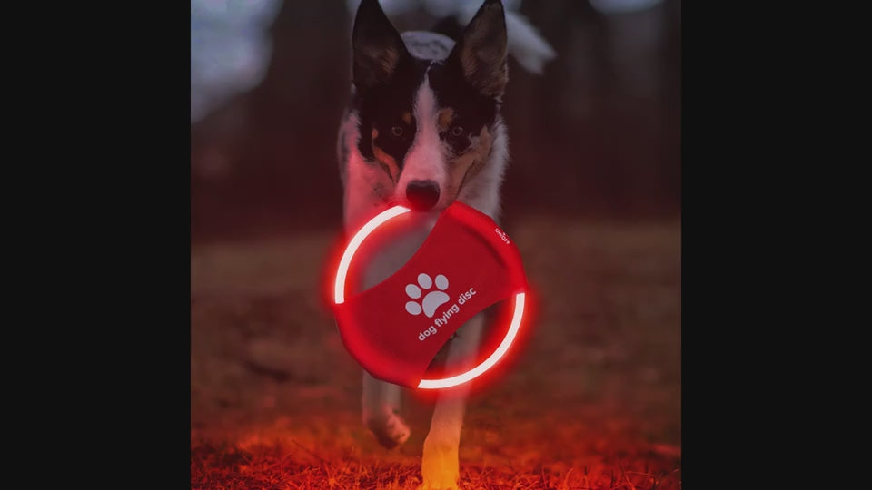 1Dog Flying Discs, LED Dog Toys, Glowing Dog Toys, Luminous Dog Toys, Interactive Dog Toys, Training Toys for Dogs, Dog Game Toys, Pet Accessories, Dog Products, Dog Flying Toys, Light-Up Dog Toys, Dog Play Discs, Dog Training Discs, Pet Flying Discs, Dog Exercise Toys, Dog Activity Toys, Durable Dog Toys, Fun Dog Toys, Dog Toys for Outdoor Play