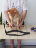 Load and play video in Gallery viewer, Colorful dog leashColorful Dog Leash, Dog Walking Rope, Small Dog Leash, Medium Dog Leash, Large Dog Leash, Explosion-Proof Dog Chain, Dog Leash, Pet Leash, Dog Walking Gear, Durable Dog Leash, Stylish Dog Leash, Dog Leash for All Sizes, High-Quality Dog Leash, Pet Walking Rope, Secure Dog Leash, Strong Dog Leash, Comfortable Dog Leash, Adjustable Dog Leash, Dog Safety Leash,
